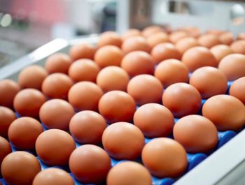 Image 1-20-25 at 7.27 PM